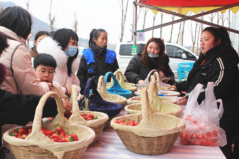 ��ݮ�h��c�´� | ���f�(zh��n)��ɽ�ڲ�ݮ��ժ��Ȥ�࣬�����w�e����ζ