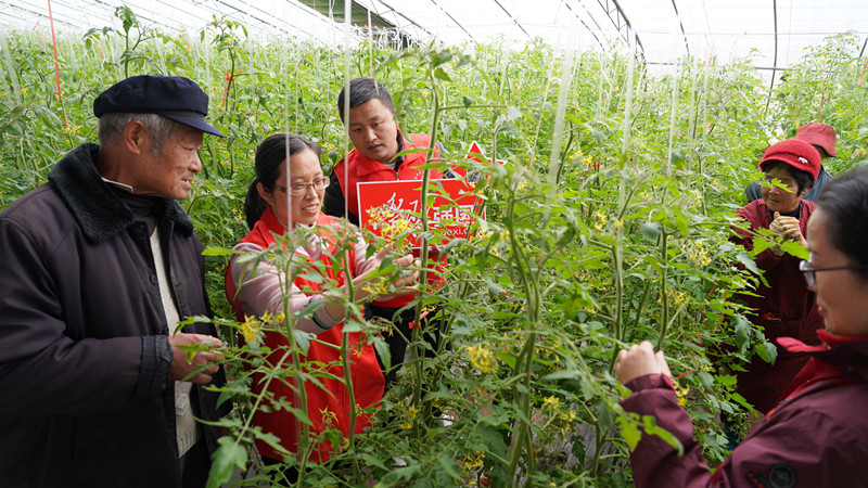 �����l(xi��ng)�����d | ���Ѕ^(q��)����·�ֵ���Ո(q��ng)�r(n��ng)�������_չ�Nֲ���g(sh��)ָ��(d��o)