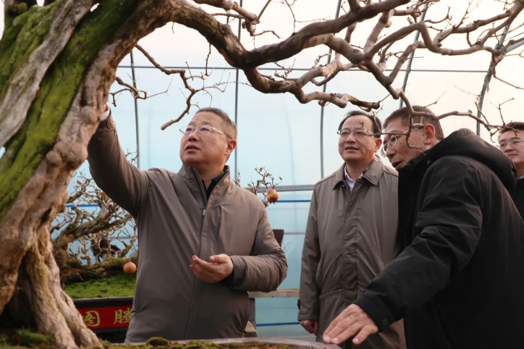 ���f��ί����ӛ������ί��ӛ�����ށ�F�ǅ^(q��)�{(di��o)��ʯ��a(ch��n)�I(y��)�l(f��)չ����