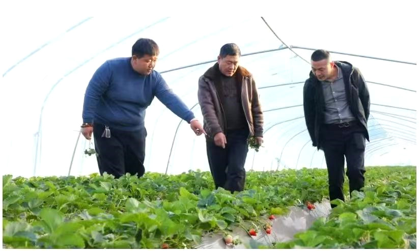 �R�Ⱥ󣺘s�@���r����������|(zh��)���l(f��)չʮ��ܳ����^�ˡ��s�u(y��)�Q̖